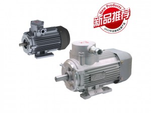 YBFBX高效率復(fù)合型防爆三相異步電動(dòng)機(jī)